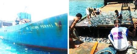 Kapal Karam, Jadi Ancaman Biota Laut dan Masyarakat Damer