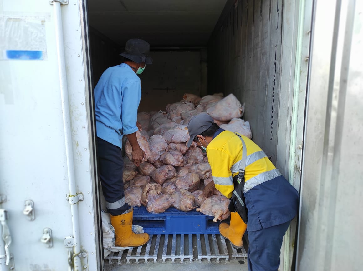 Peternak Wetar Utara Pasok Daging Ayam Untuk BKP-BTR