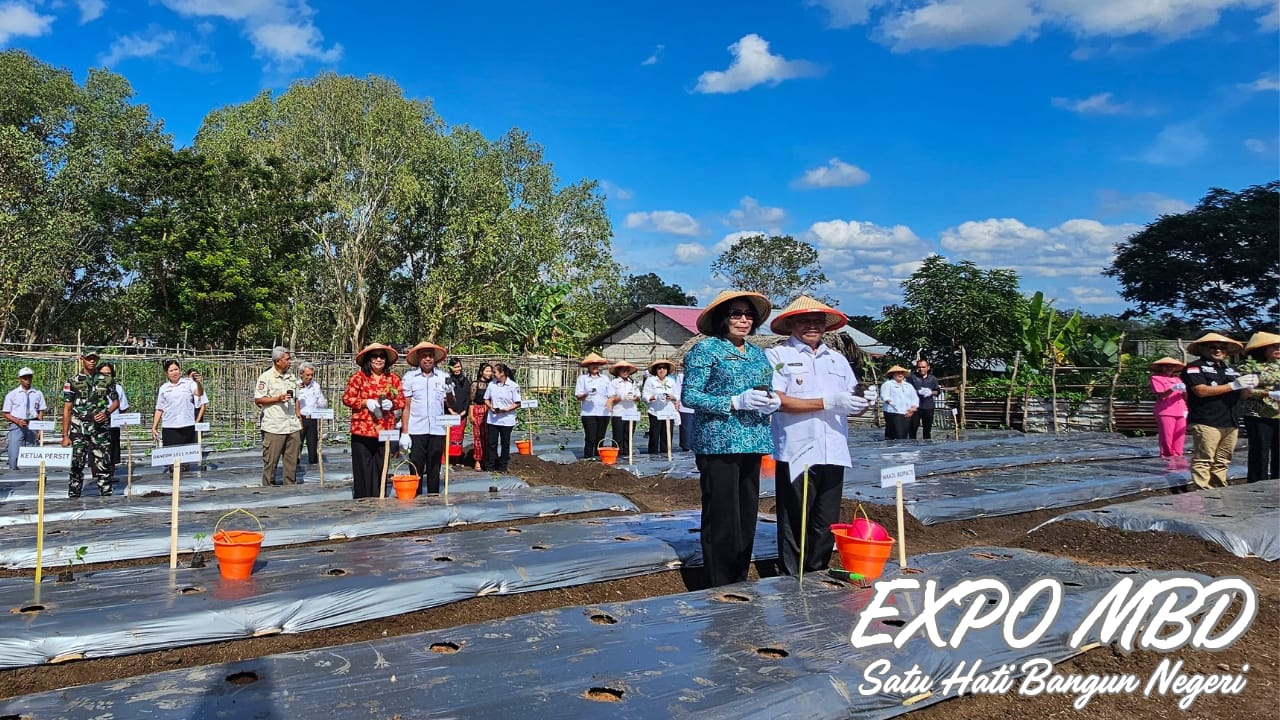 Pemkab MBD Gerakan Tanam Cabai Serentak